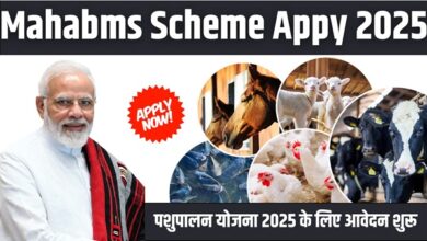 Mahabms Scheme Appy 2025